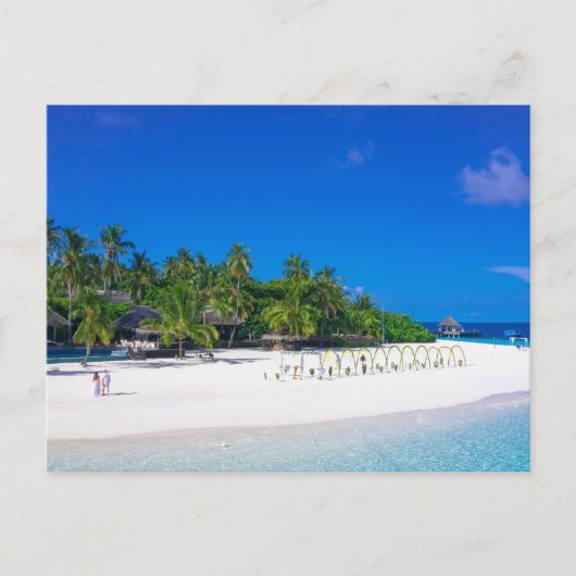 すべての呼び出しに対するSaビーチポストカード ポストカード (正面)