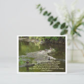 すべての場合 ポストカード (スタンド正面)