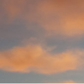 すべての夢のマグをキャッチ コーヒーマグカップ