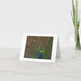 すべての大事な行事カード カード