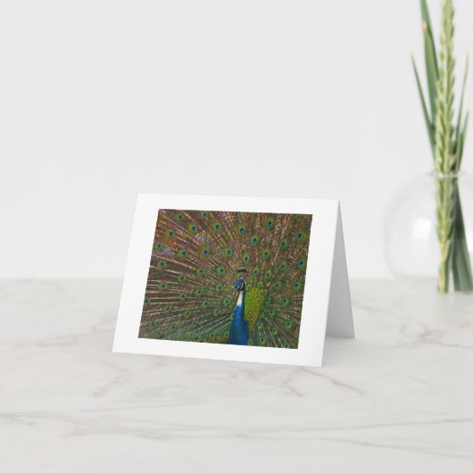 すべての大事な行事カード カード (正面)