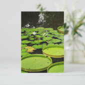 すべての大事な行事カード サンキューカード (スタンド正面)