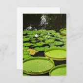 すべての大事な行事カード サンキューカード (正面/裏面)