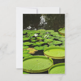 すべての大事な行事カード サンキューカード