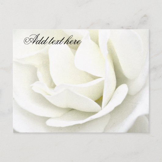 すべての大事な行事_ ポストカード (正面)