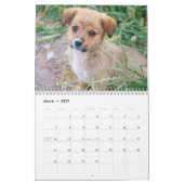 すべての子犬2025子犬の壁カレンダー カレンダー (3月 2027)