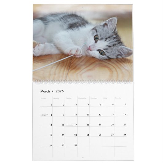 すべての子猫かわいい2025ウォールカレンダーギフト カレンダー (3月 2026)