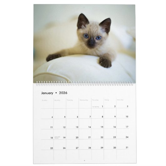 すべての子猫かわいい2025ウォールカレンダーギフト カレンダー (1月 2026)