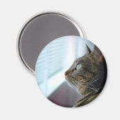 すべての子猫は外で マグネット (正面/裏面)