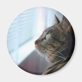 すべての子猫は外で マグネット