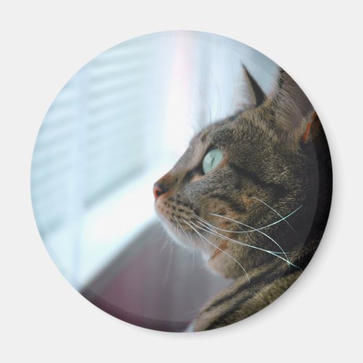 すべての子猫は外で マグネット (正面)