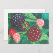 すべての年齢層のブラックベリーつる植物 ポストカード (正面/裏面)