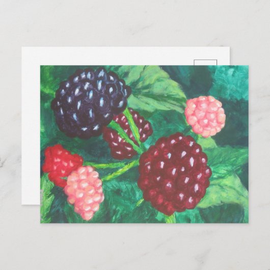 すべての年齢層のブラックベリーつる植物 ポストカード (正面/裏面)