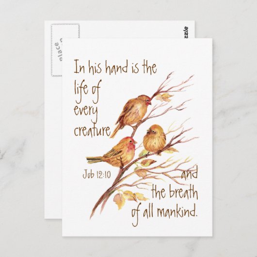 すべての感動的生物の引用文 ポストカード (正面/裏面)