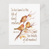 すべての感動的生物の引用文 ポストカード (正面)