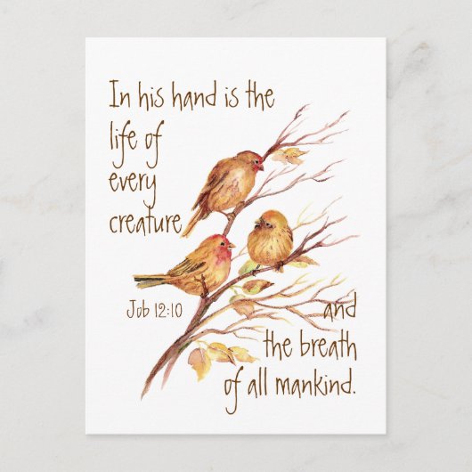 すべての感動的生物の引用文 ポストカード (正面)