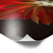 すべての火のまわりに灯 フォトプリント            (角)