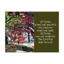 すべての物事が明るく美しい