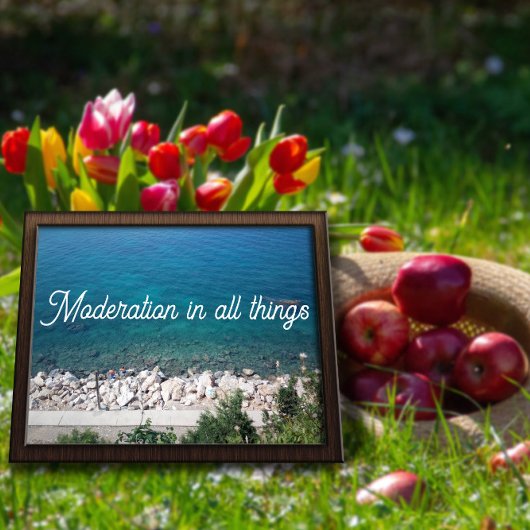 すべての物事の節度の海の諺ポスター ポスター