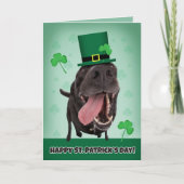 すべての犬のユーモアのための聖パトリックの日を幸せに シーズンカード (正面)