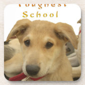 すべての犬のiTSデイハクナマタハッピー日a コースター (正面)