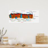 すべての生体細胞で共通の細胞膜図 ポスター (キッチン)