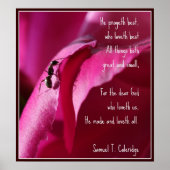 すべての生素晴らしき物と小 ポスター (正面)