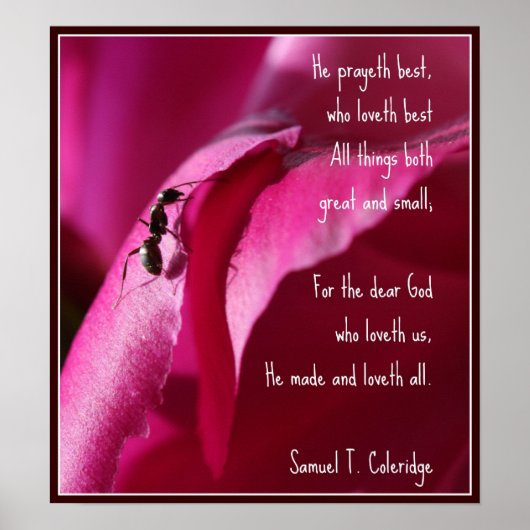 すべての生素晴らしき物と小 ポスター (正面)