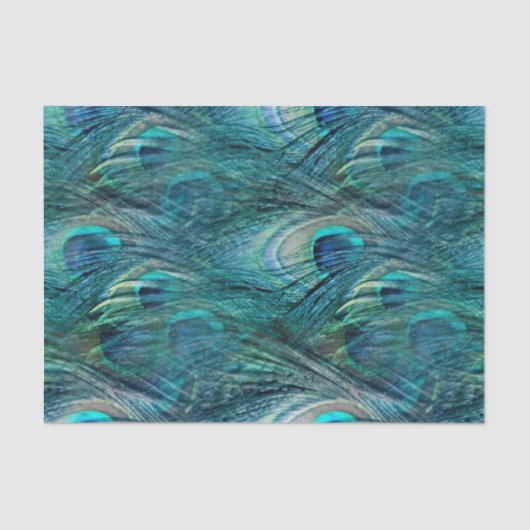 すべての目はあなたにあります 薄葉紙 (正面)