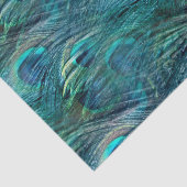 すべての目はあなたにあります 薄葉紙 (詳細)