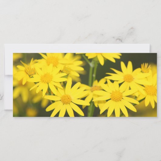 すべての祈りの言葉 (裏面)