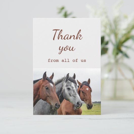 すべての私たちの馬のおもしろい サンキューカード (スタンド正面)