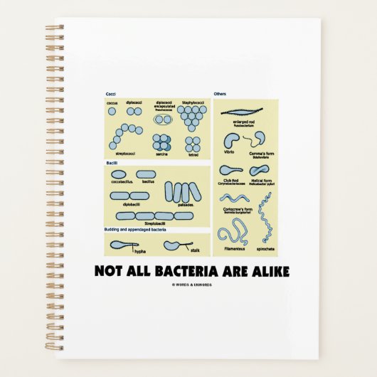 すべての細菌が細菌形態学と同じではない プランナー手帳 (正面)