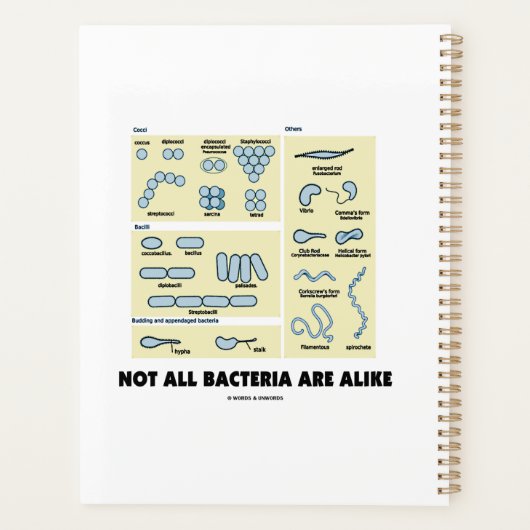 すべての細菌が細菌形態学と同じではない プランナー手帳 (裏面)