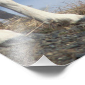 すべての羊、オヴィスダリ、エウェと子羊 フォトプリント            (角)