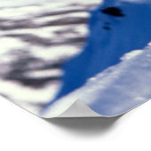 すべての羊、オヴィスダリ、フルカールのラム ポスター (角)