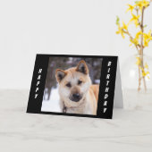 "すべての耳"あなたの誕生日を聞く祝ために カード (黄色い花)