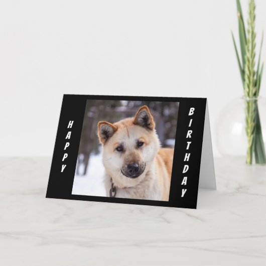 "すべての耳"あなたの誕生日を聞く祝ために カード (正面)