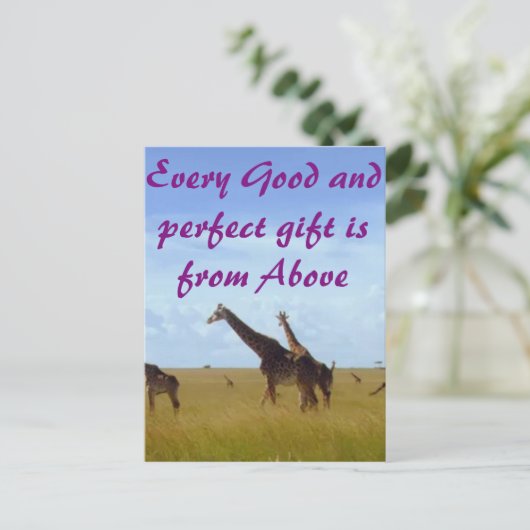 すべての良い完璧なギフトAfrican Safari Giraffes ポストカード (スタンド正面)