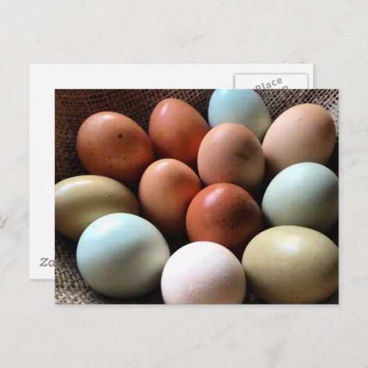 すべての色合いの卵 ポストカード (正面/裏面)
