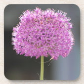 すべての花 コースター (正面)