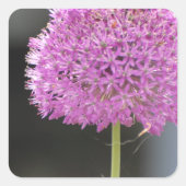 すべての花 スクエアシール (正面)