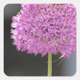 すべての花 スクエアシール