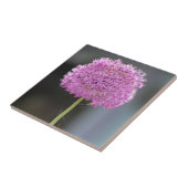 すべての花 タイル (側面)