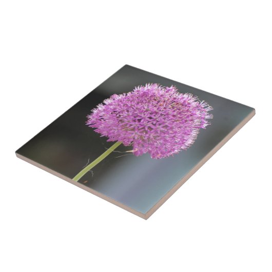 すべての花 タイル (側面)