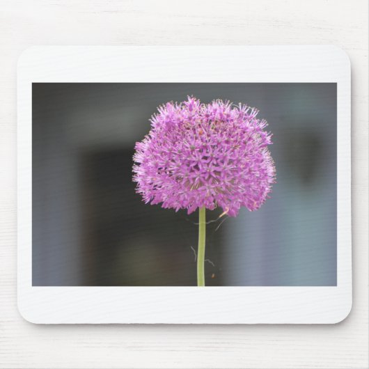 すべての花 マウスパッド (正面)