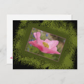 すべての行事かわいらしピンクポピー写真 ポストカード (正面/裏面)