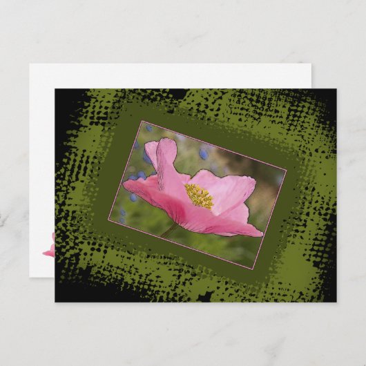 すべての行事かわいらしピンクポピー写真 ポストカード (正面/裏面)