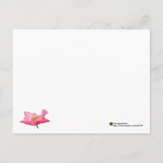 すべての行事かわいらしピンクポピー写真 ポストカード (裏面)