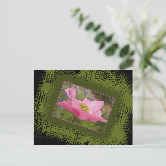 すべての行事かわいらしピンクポピー写真 ポストカード (スタンド正面)